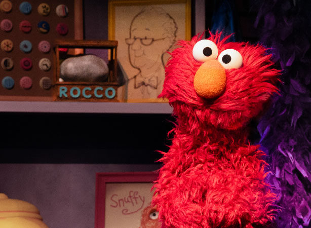 Sesame Street the Musical